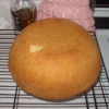 Image #6540