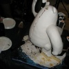 Image #12853