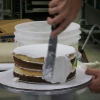 Image #15381