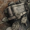 Image #19217