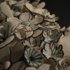 Image #29552