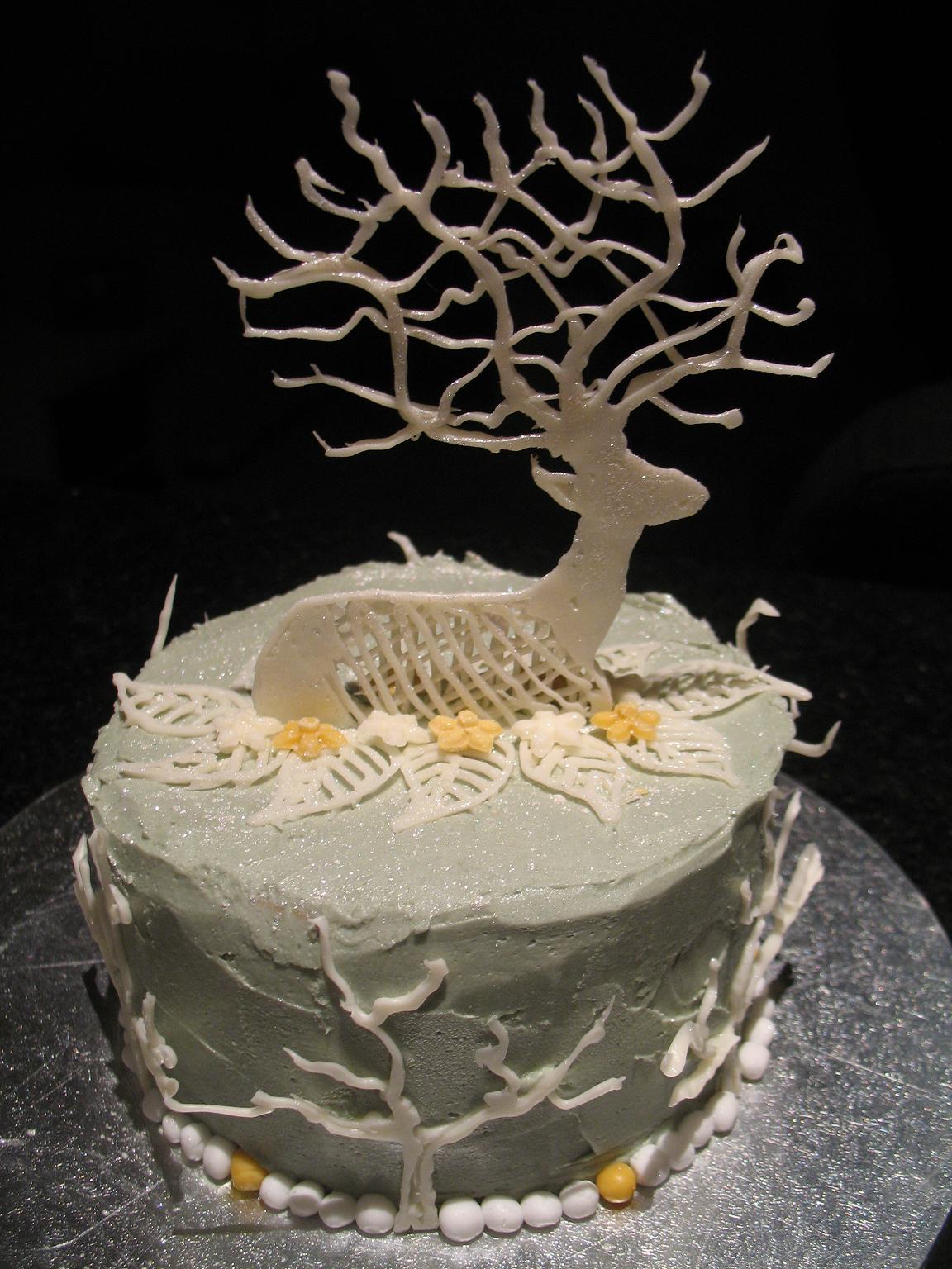 I Am Shy But You Can Reach Me cake