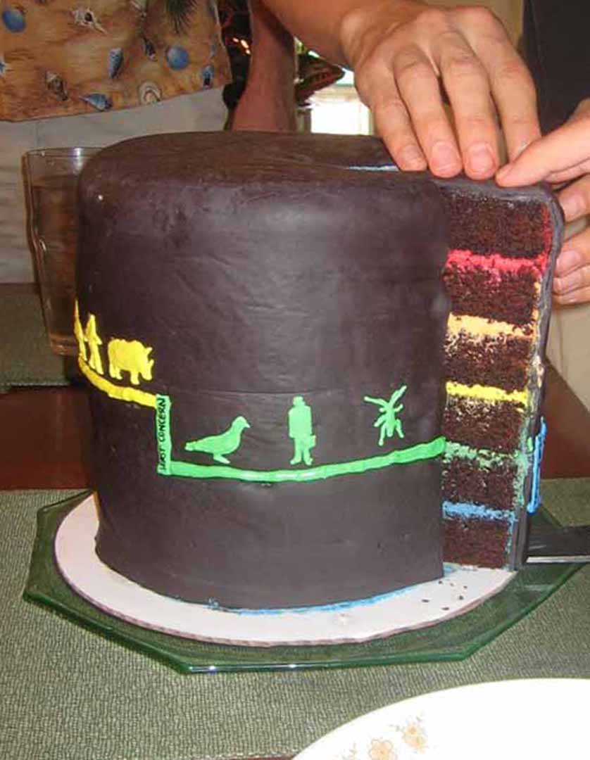 Conservation Status cake