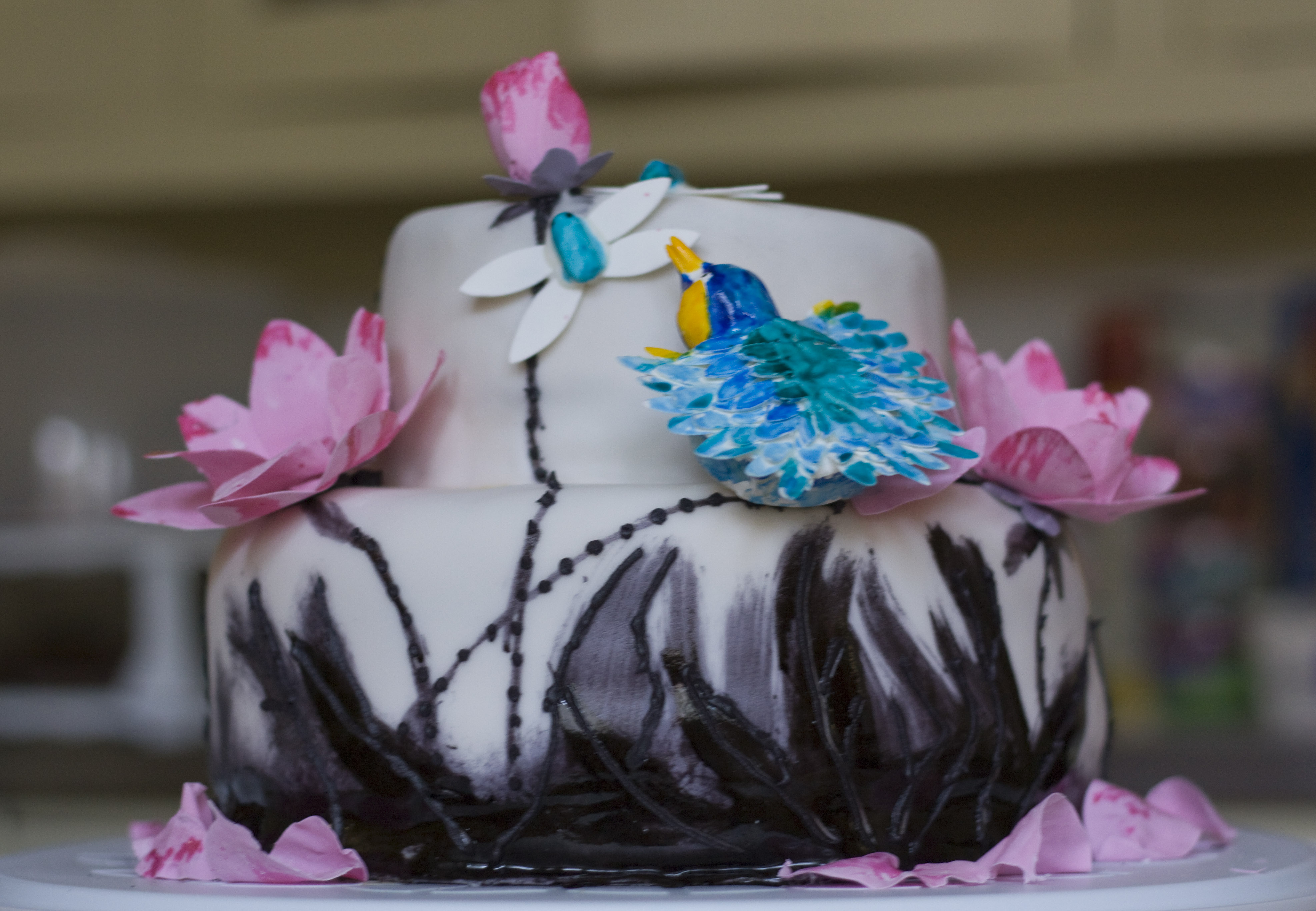 Shh... cake