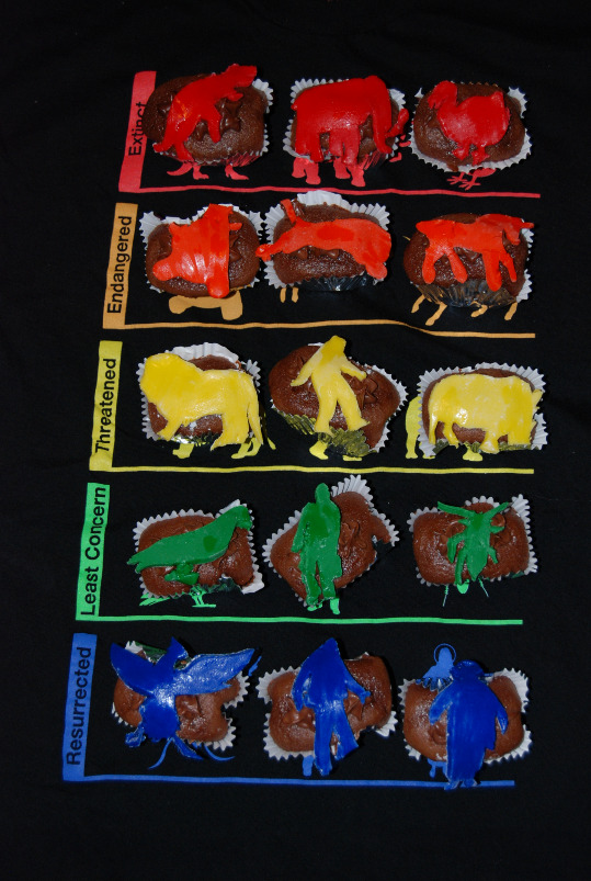 Conservation Status cake