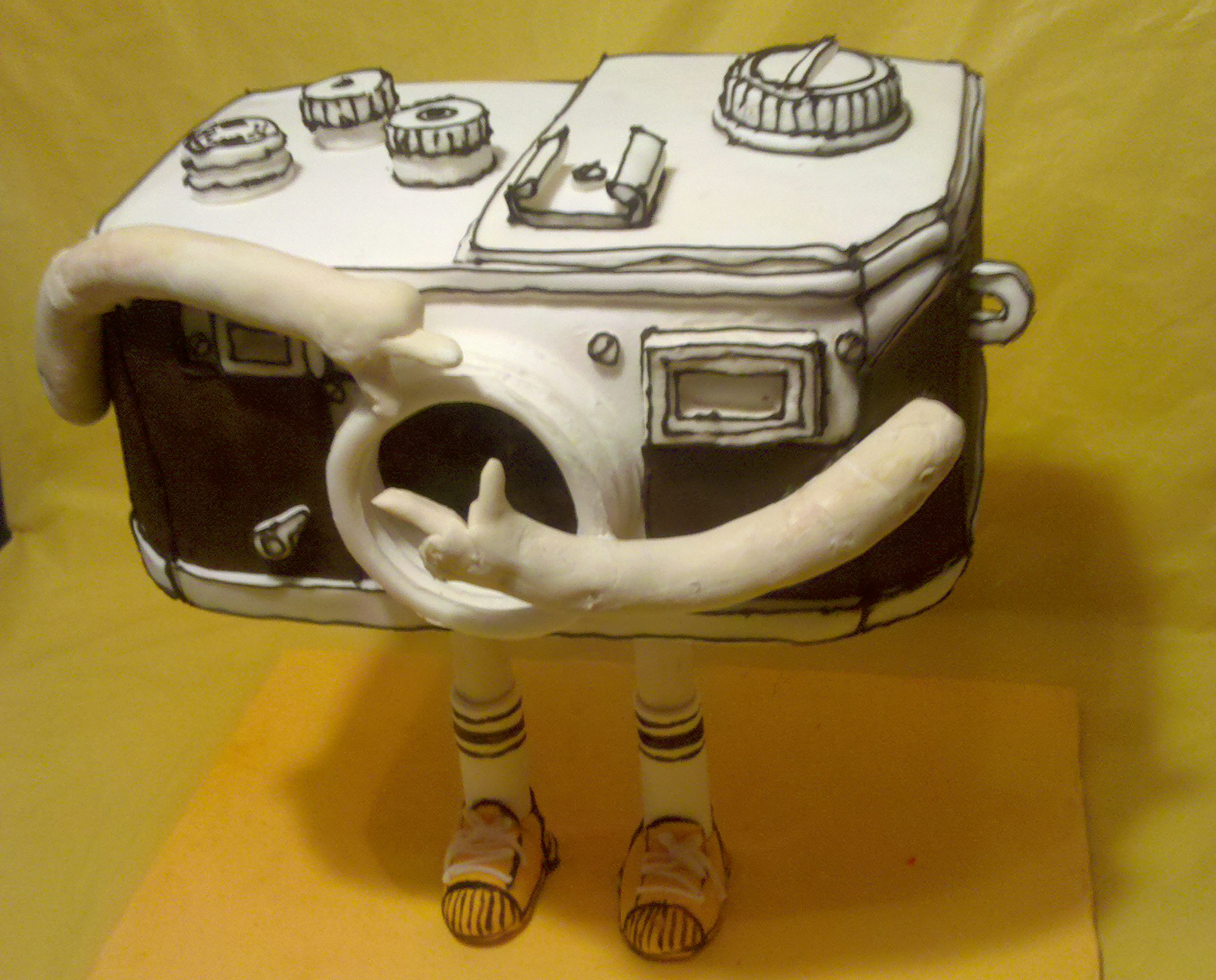 Photographer cake