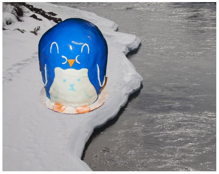 My Belly Is A Polar Bear cake