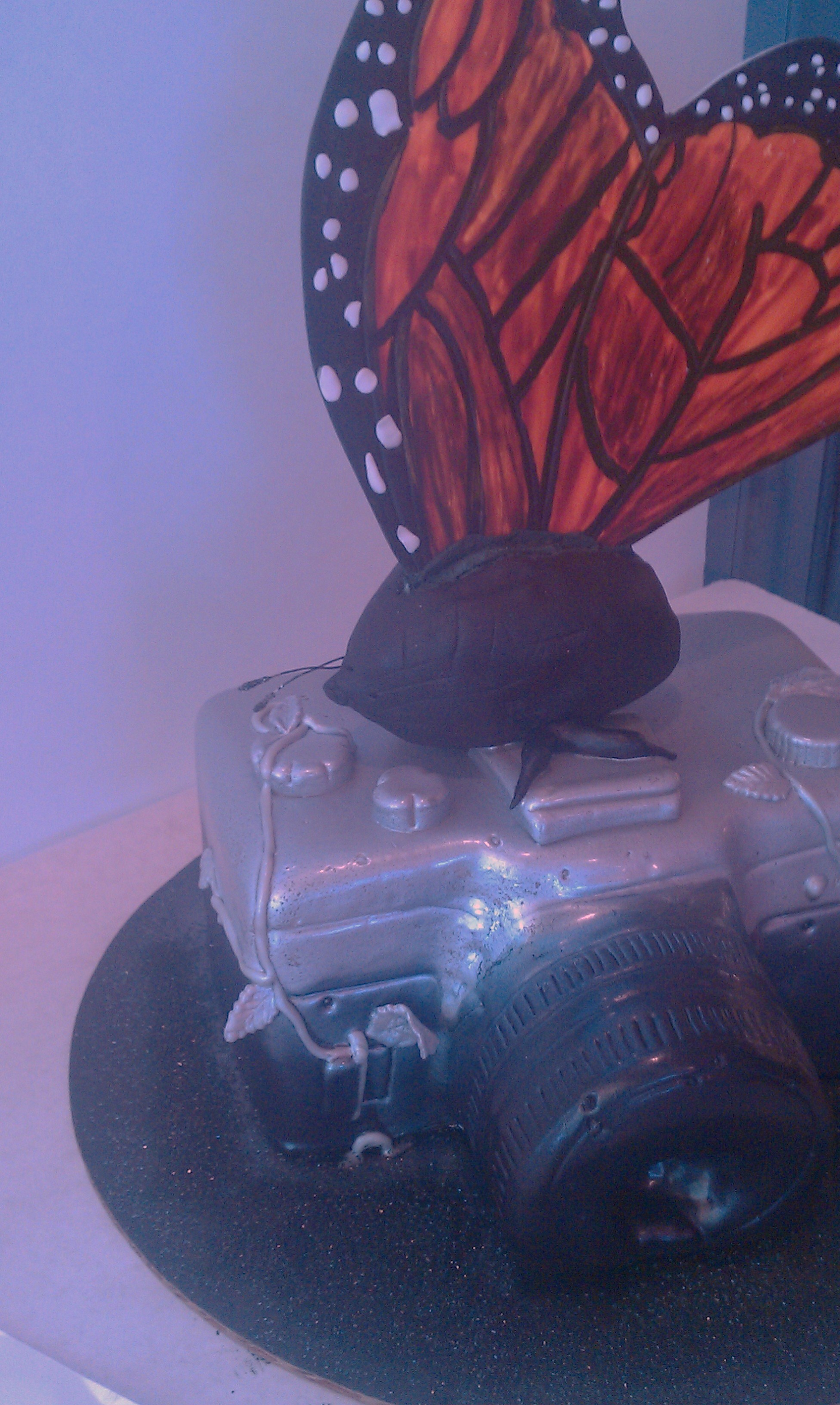 Nature Photography cake