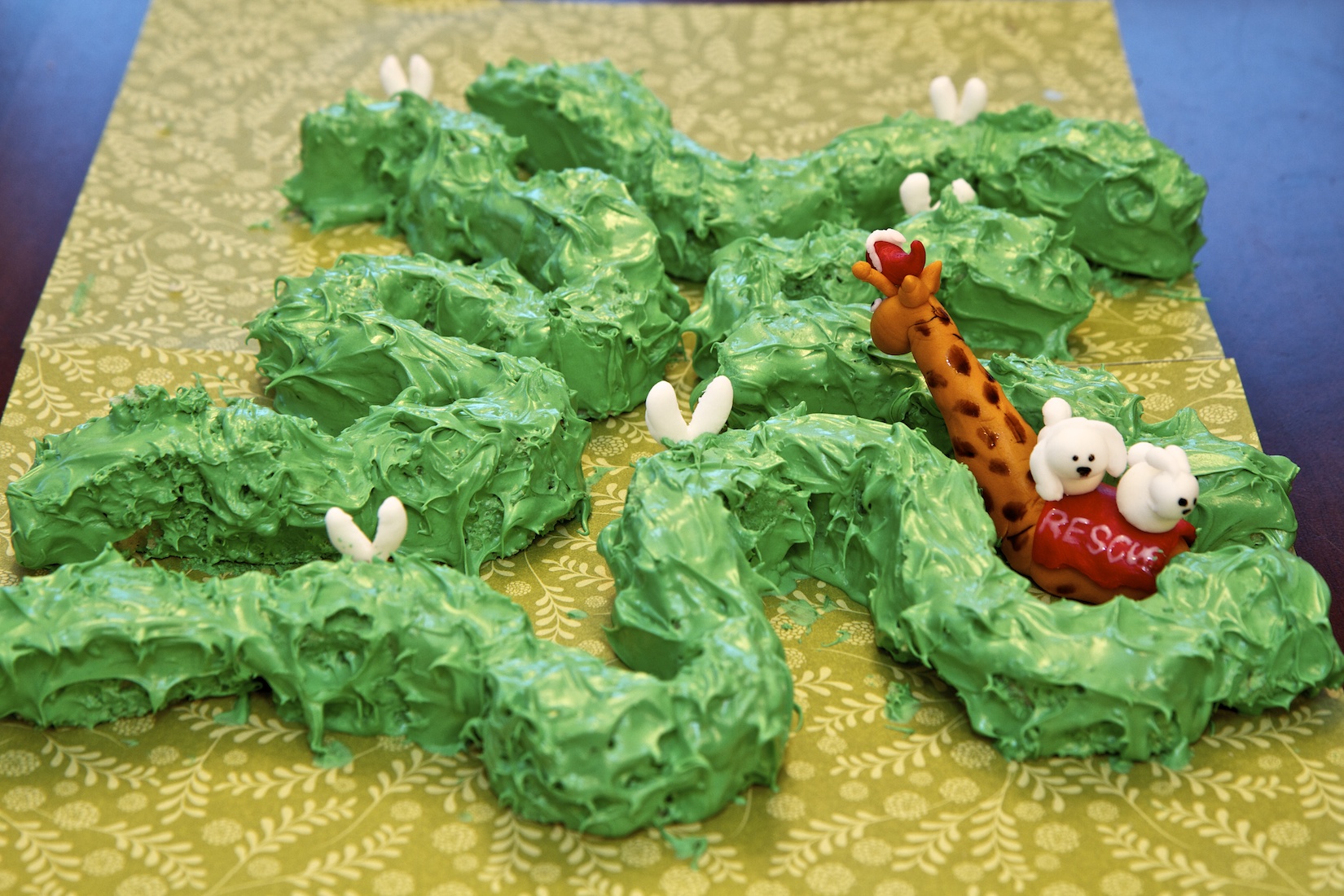 Search and Rescue cake