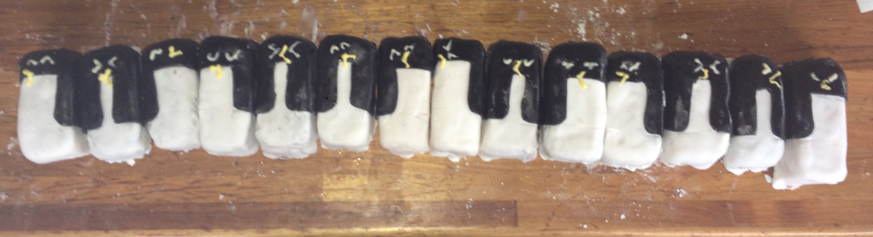 The Choir of Antarctica cake