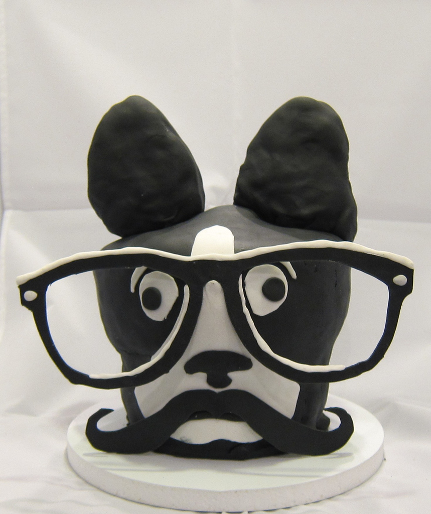 Boston Intellectual Select Cardigan cake