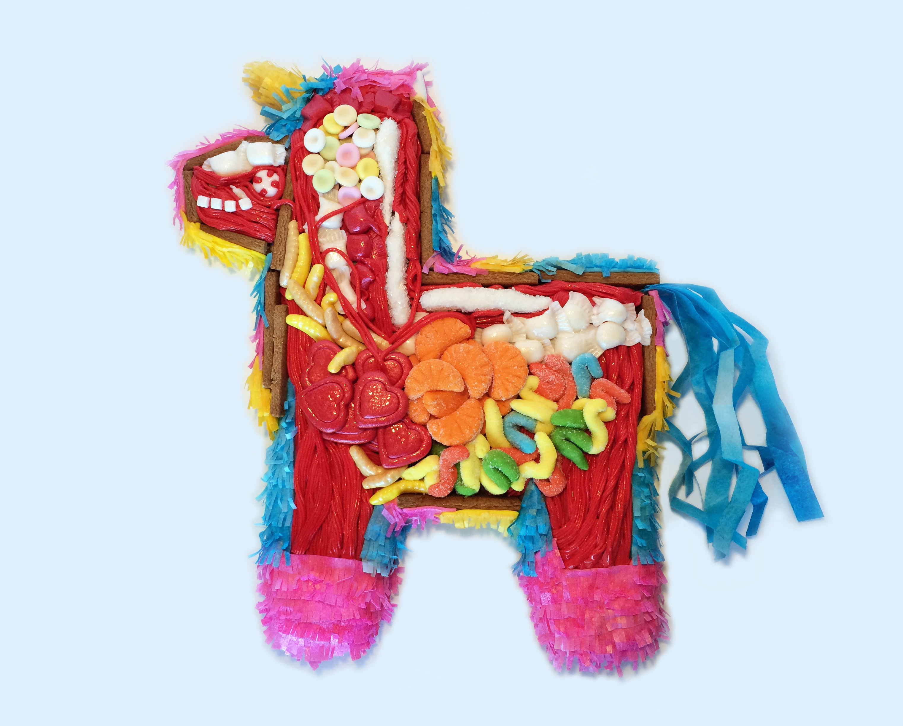 Pinata Anatomy cake