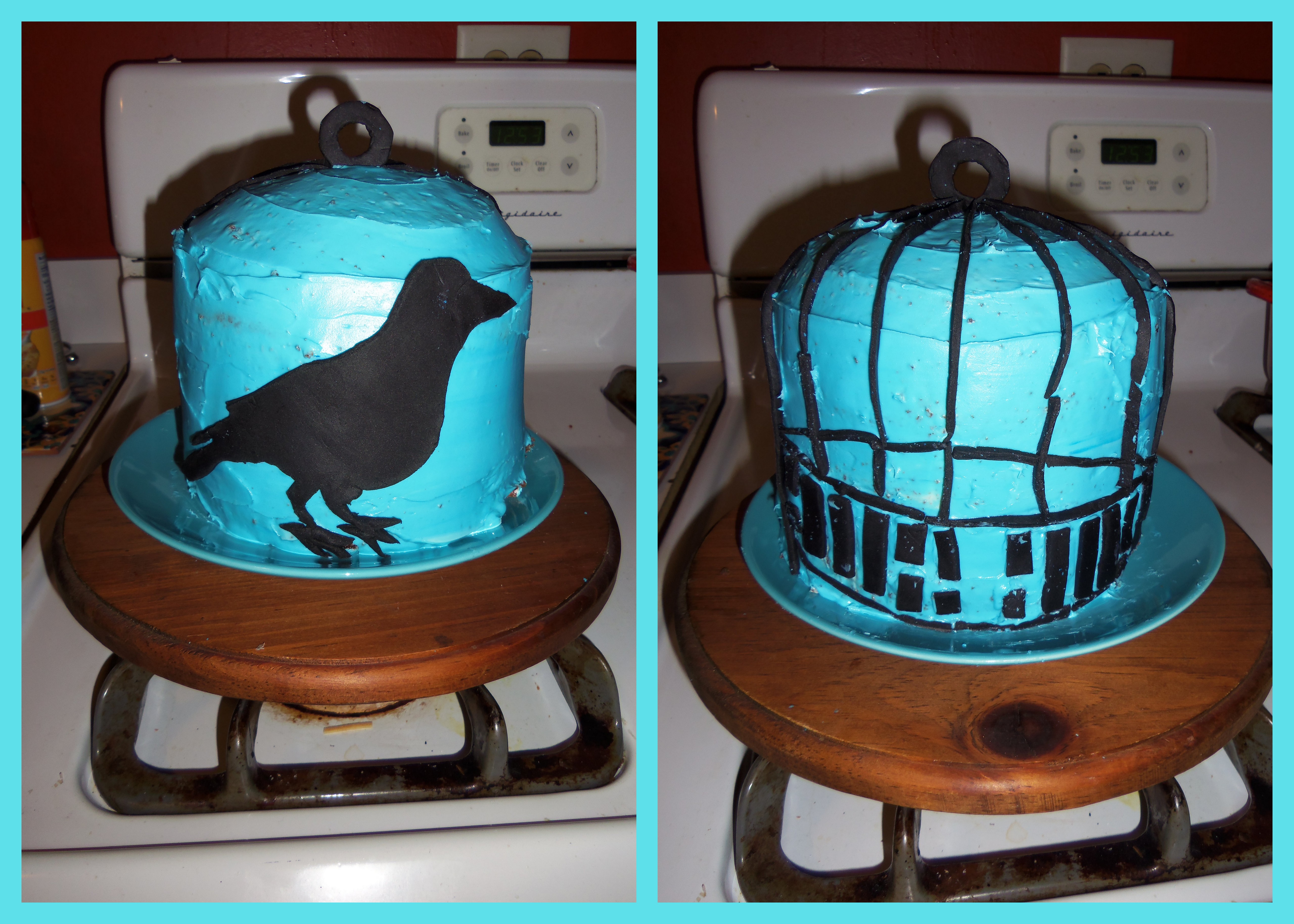 Human Thaumatrope cake