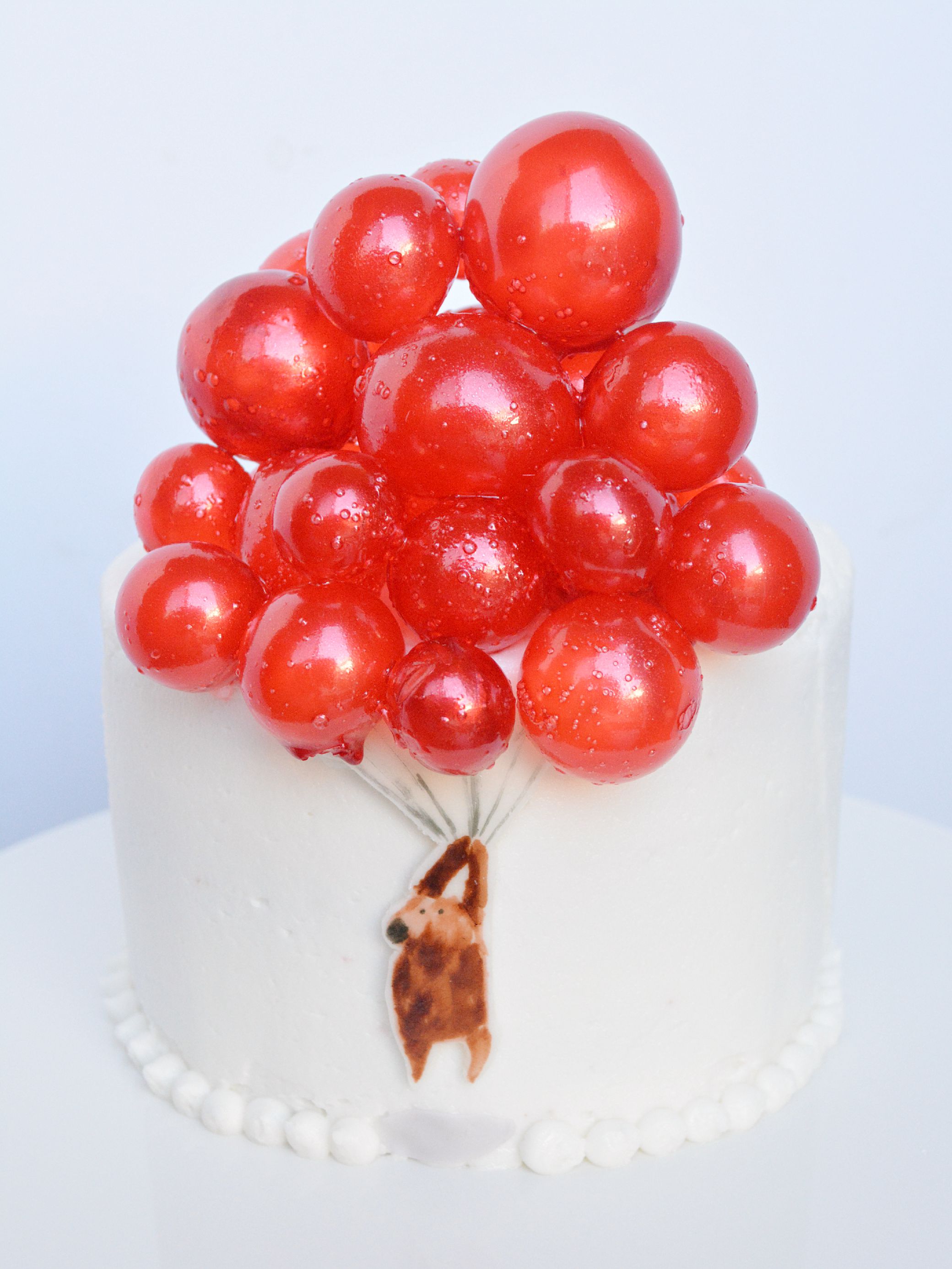 Almost Take Off cake