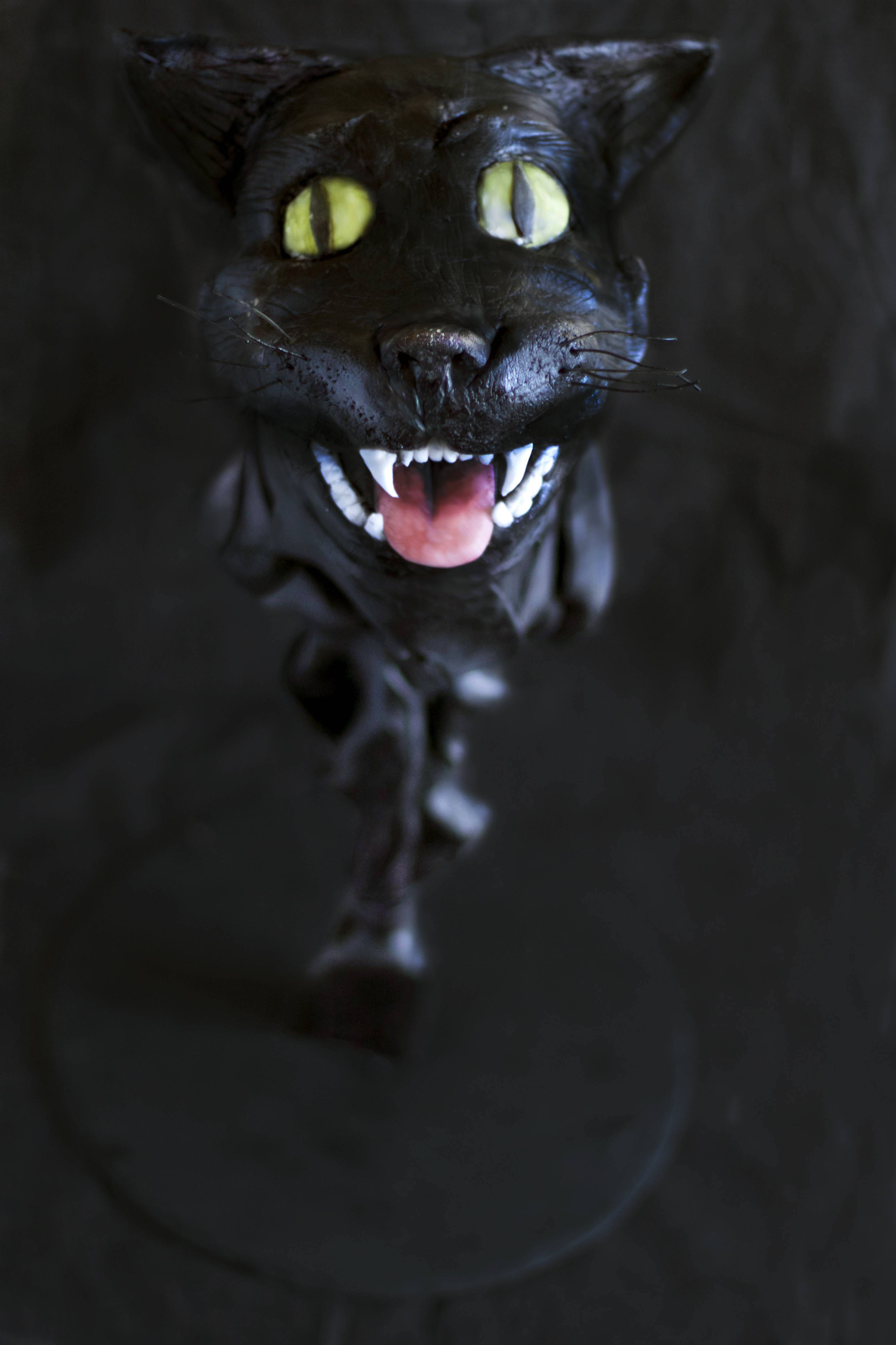 Black Cat Magic cake
