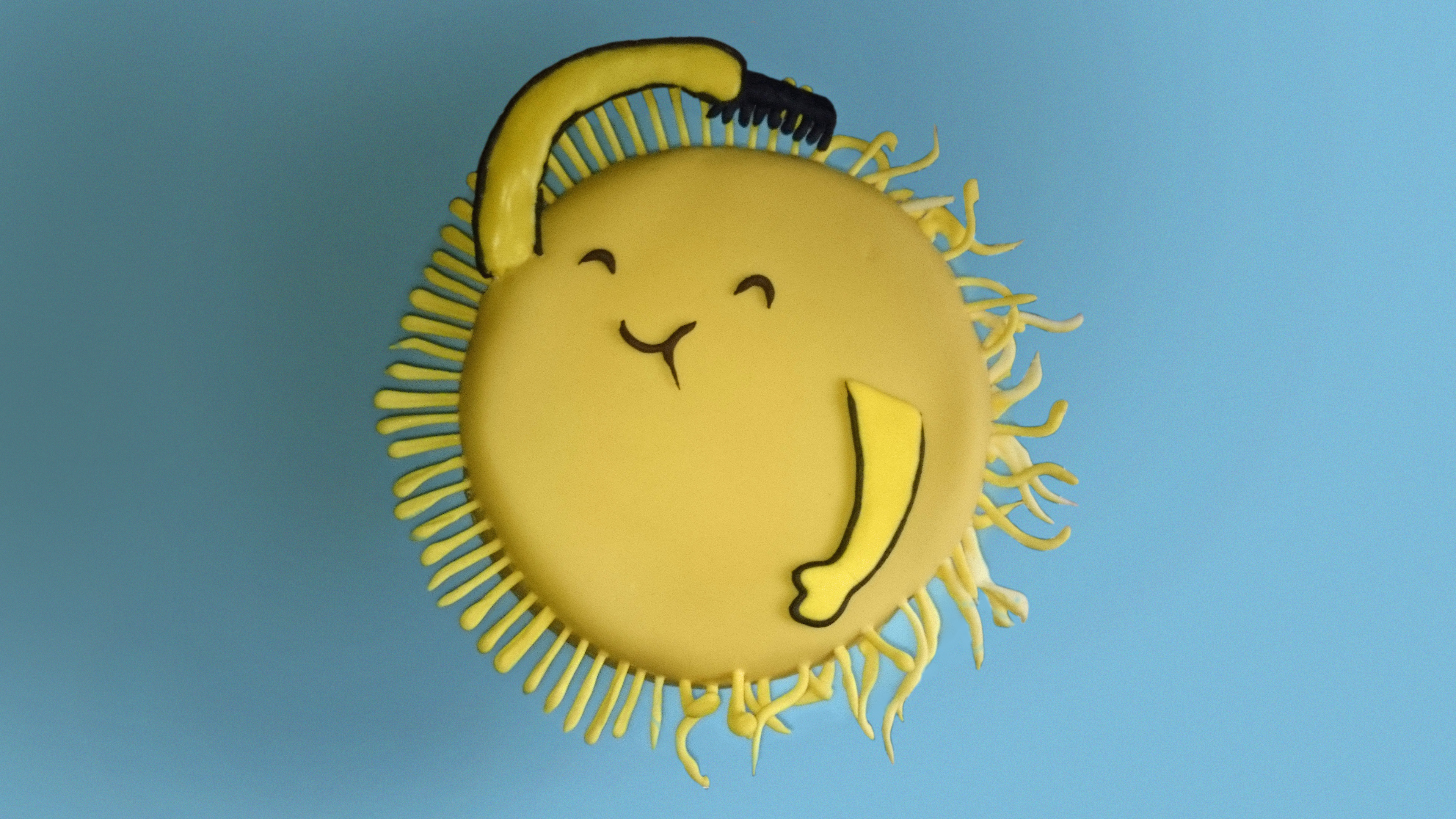Bad Hair Day cake